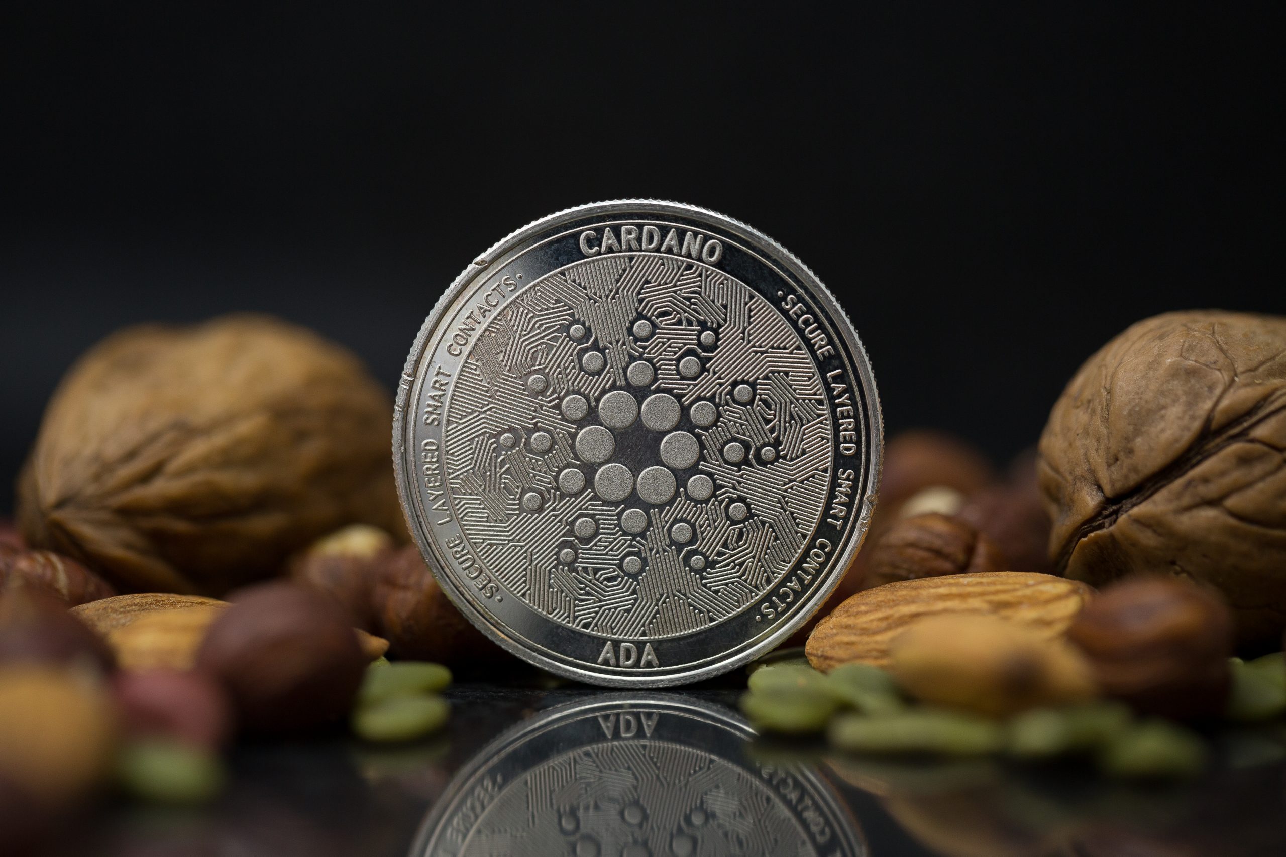 a-closer-look-at-cardano