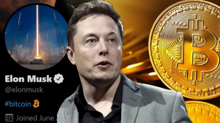 Elon Musk’s Tweets Have a Big Impact on the Cryptocurrency Market – the “Elon Effect”